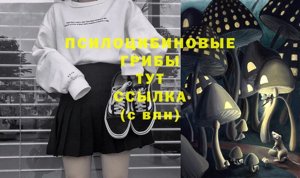 индика Алексеевка